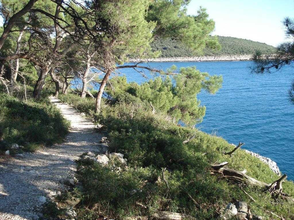 Holiday Home Julia Banjole Δωμάτιο φωτογραφία