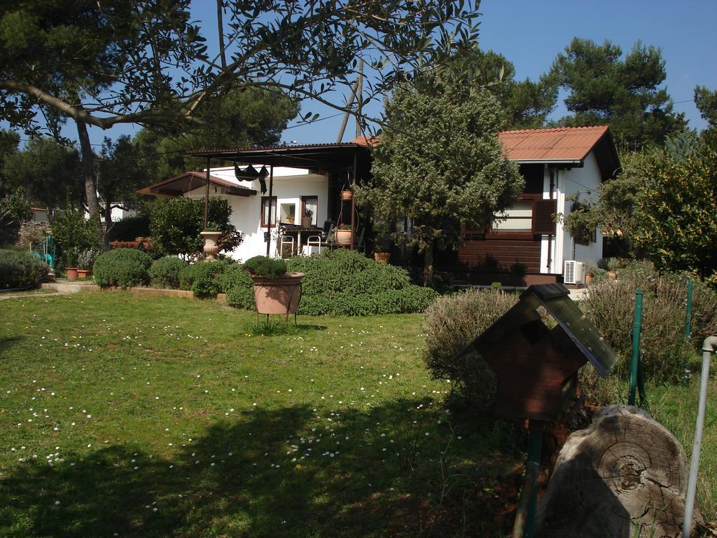 Holiday Home Julia Banjole Εξωτερικό φωτογραφία