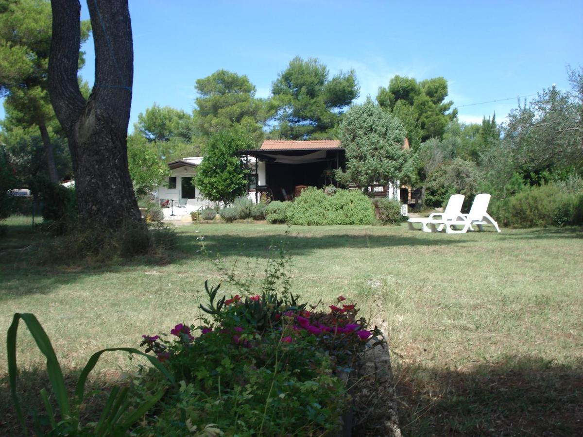 Holiday Home Julia Banjole Εξωτερικό φωτογραφία