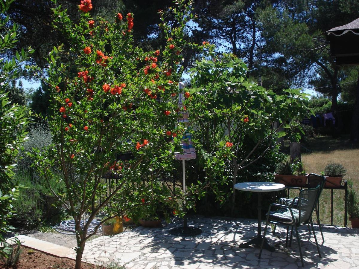 Holiday Home Julia Banjole Εξωτερικό φωτογραφία